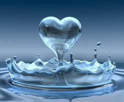 heart water