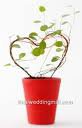 love plant